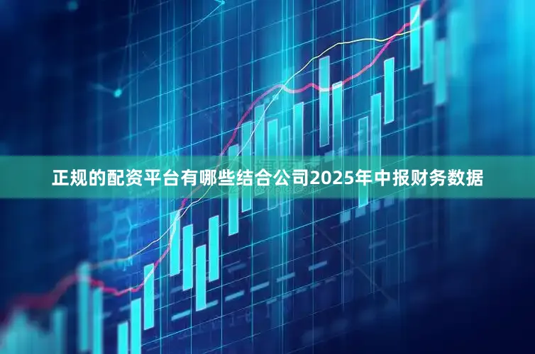 正规的配资平台有哪些结合公司2025年中报财务数据