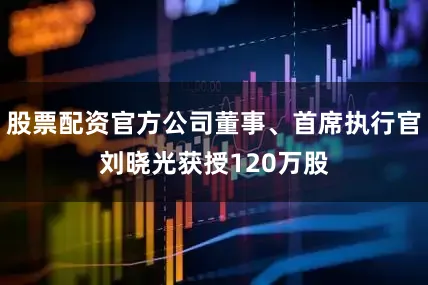 股票配资官方公司董事、首席执行官刘晓光获授120万股